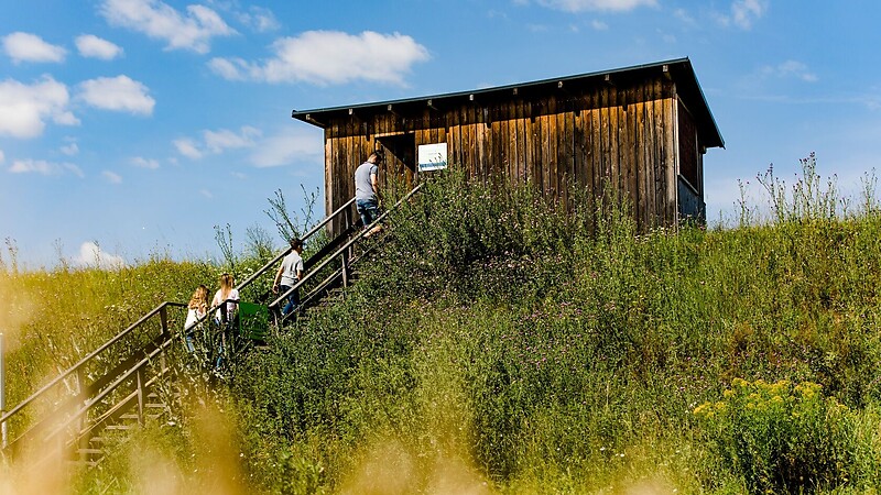Карта