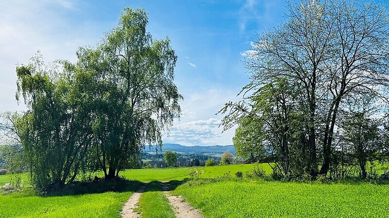 Карта