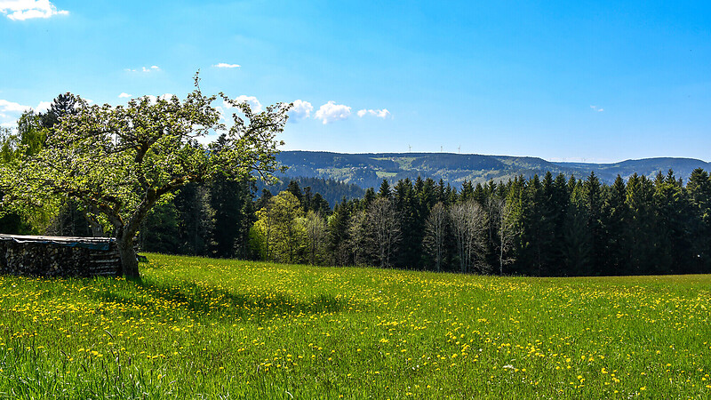 Карта
