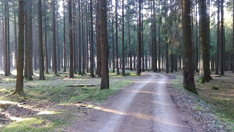 Карта