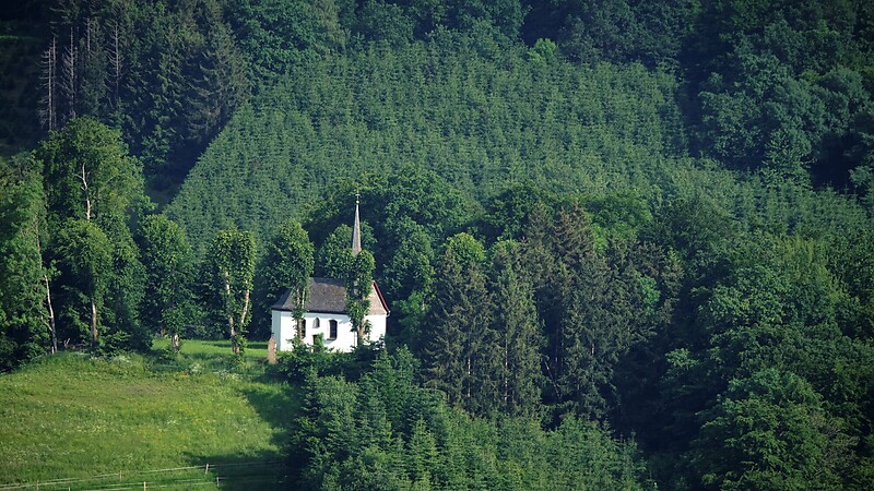 Карта