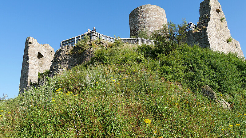 Карта