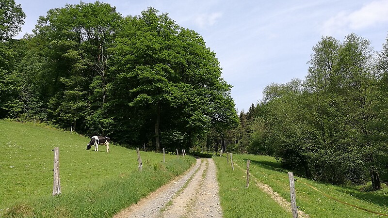 Карта