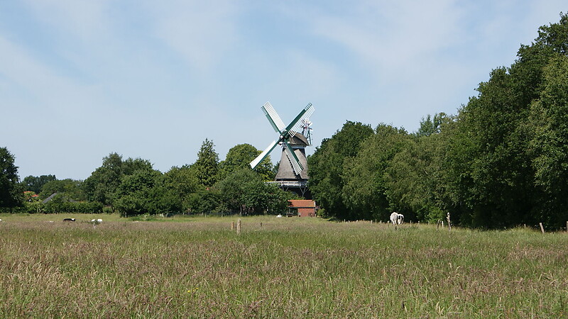 Карта