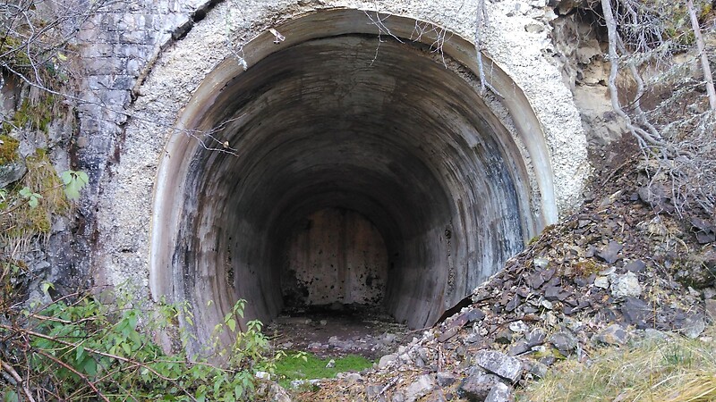 Карта