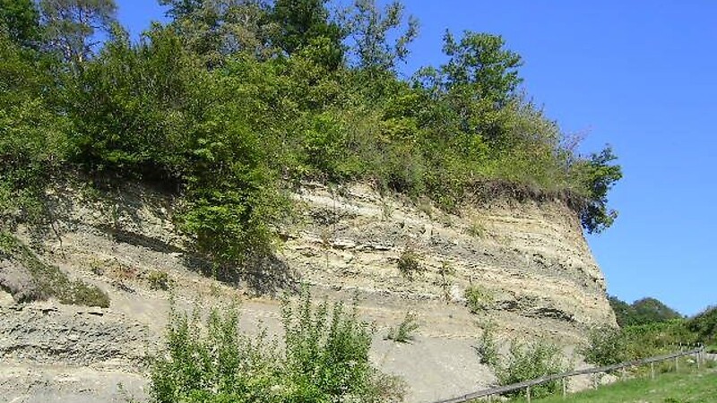 Карта