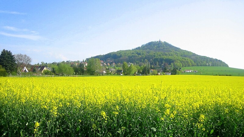 Карта