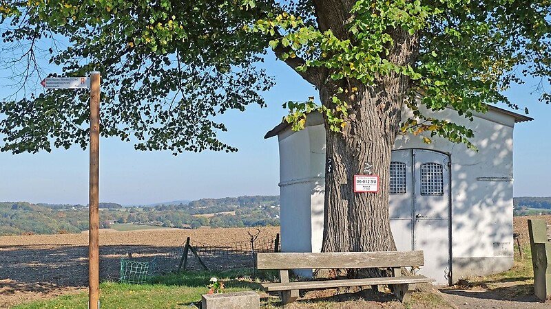 Карта