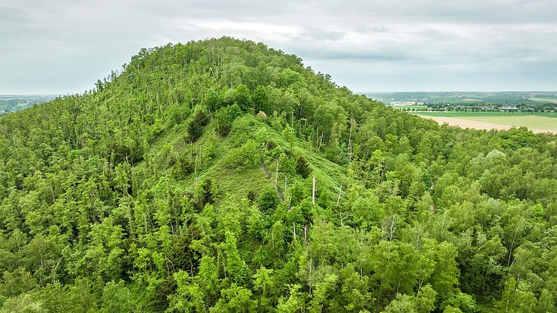 Карта