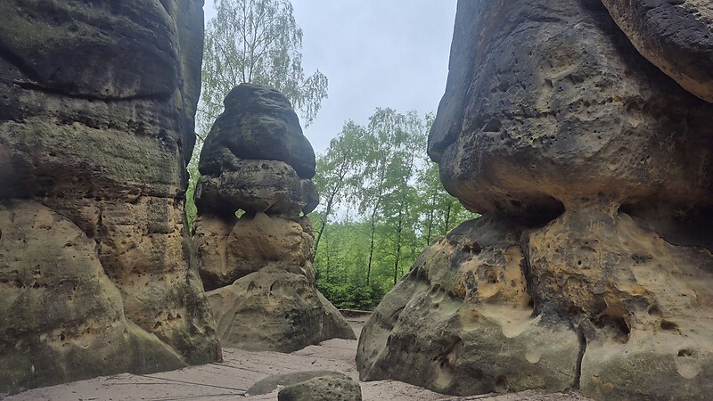 Карта