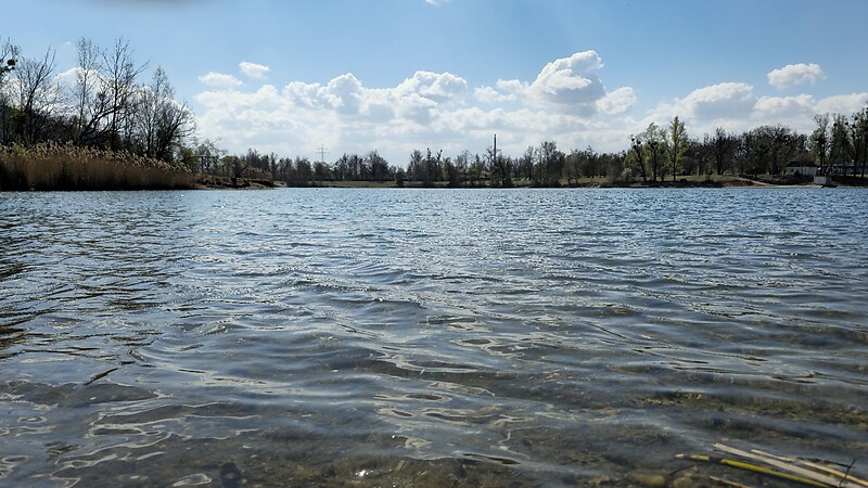 Карта