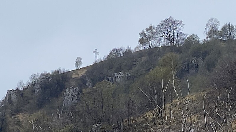 Карта