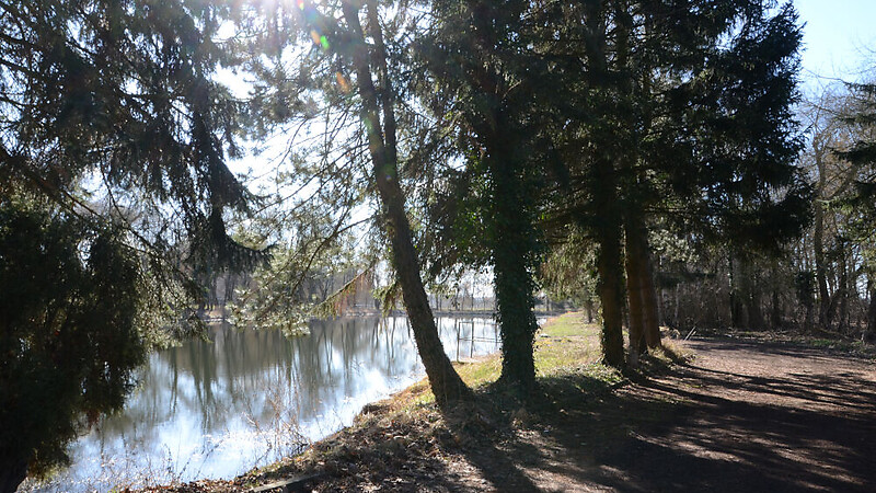 Карта