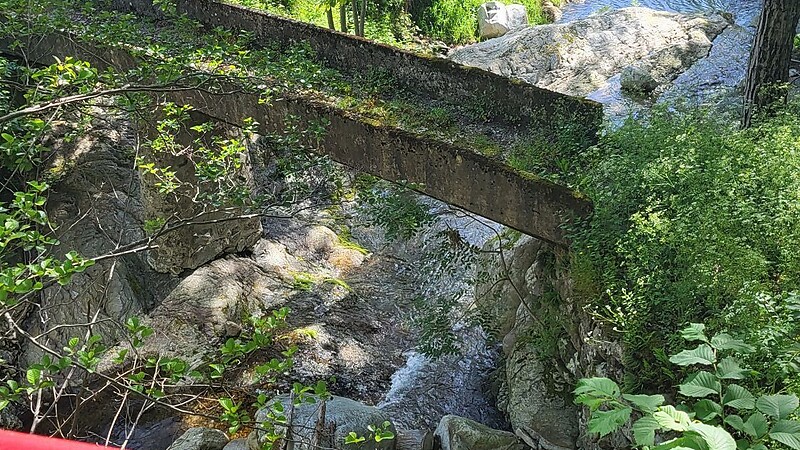 Карта
