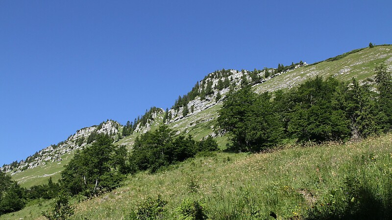 Карта