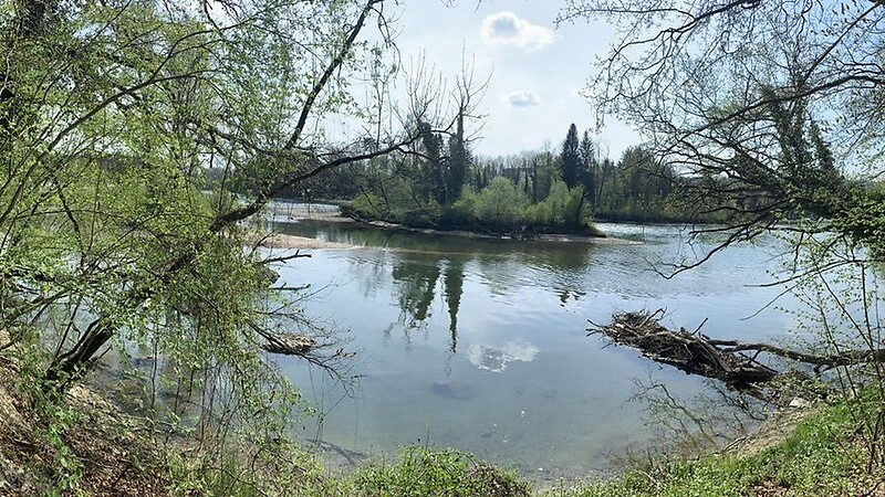 Карта