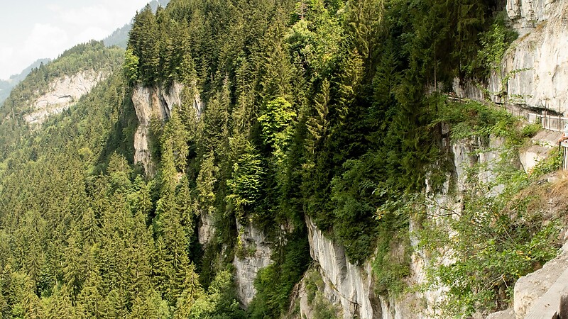 Карта