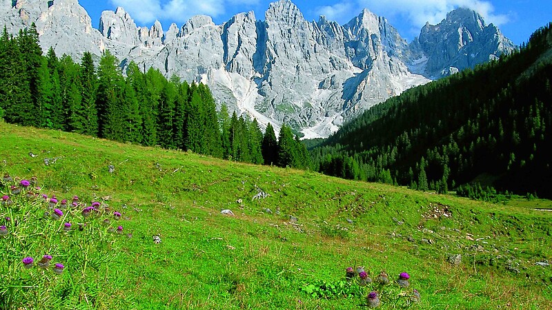 Карта
