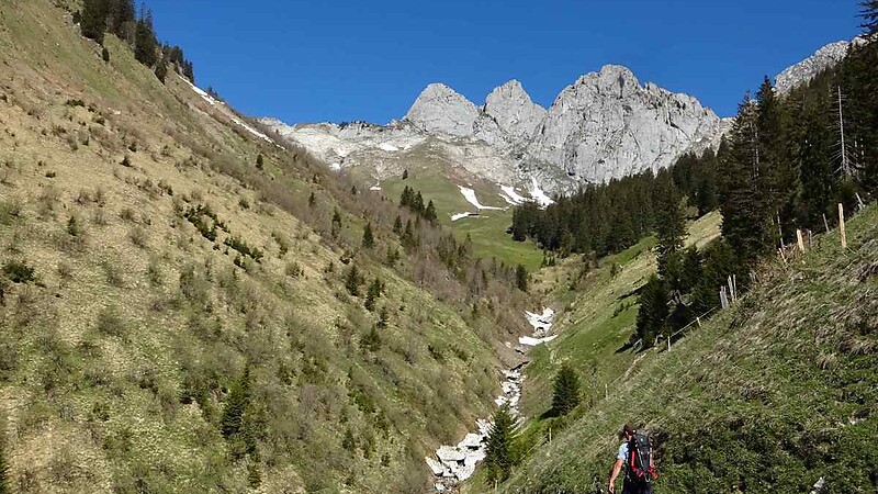 Карта