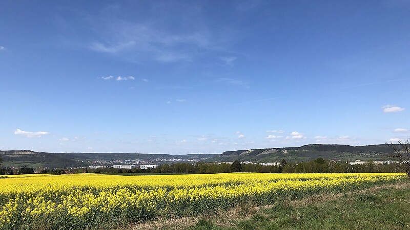Карта