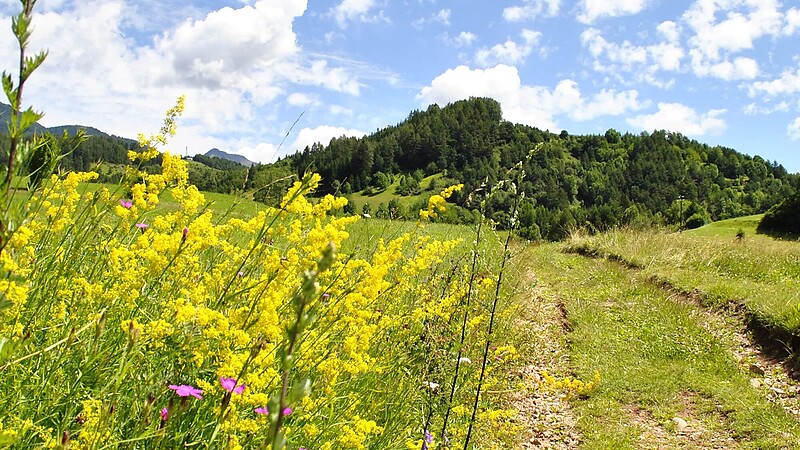 Карта