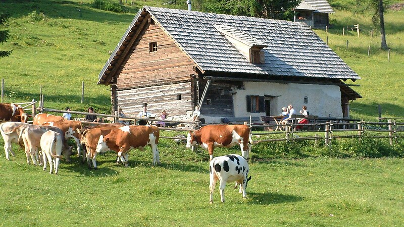 Карта