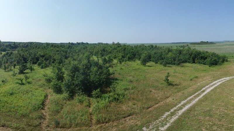 Карта