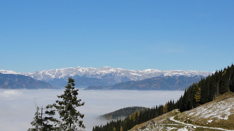 Карта