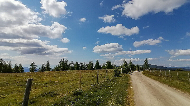 Карта