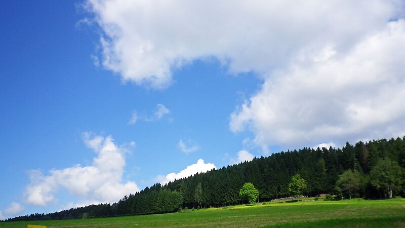 Карта