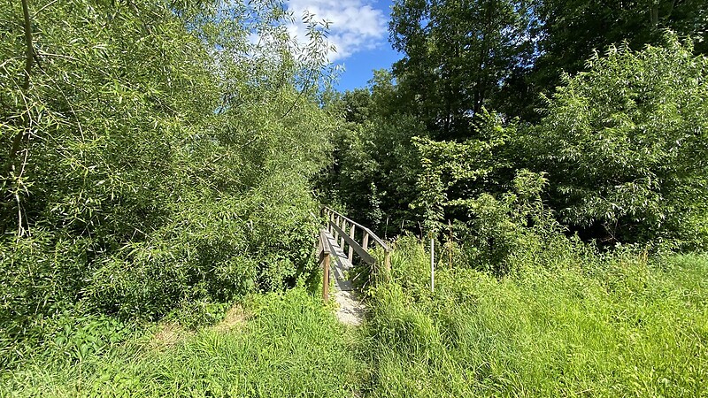 Карта