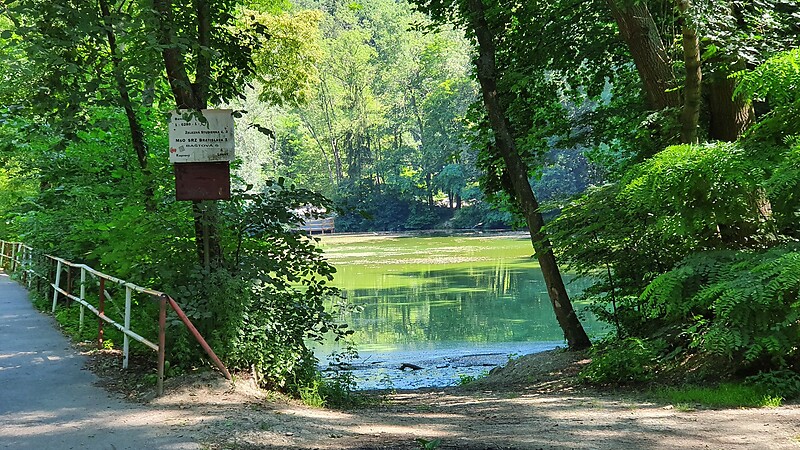 Карта