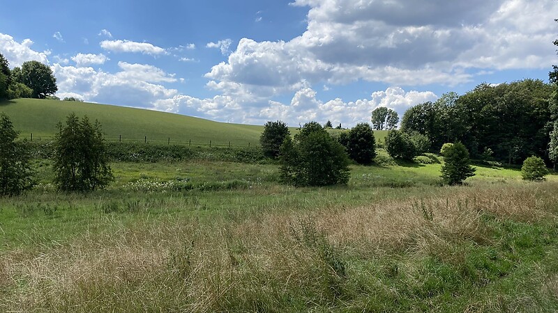 Карта