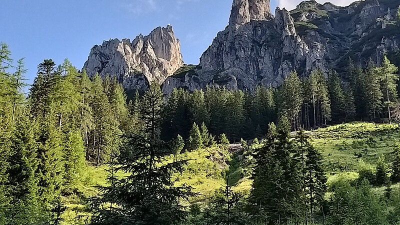 Карта