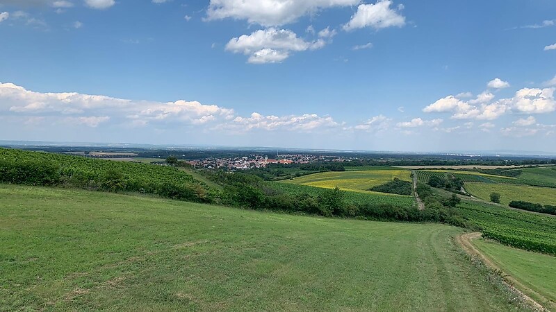 Карта