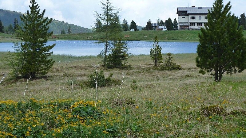 Карта