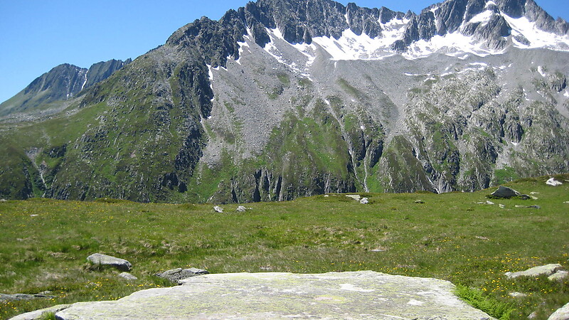 Карта