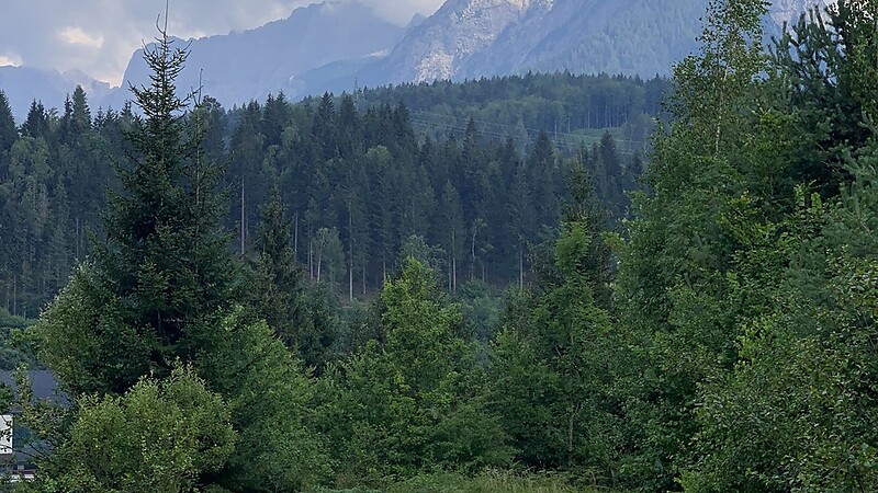 Карта