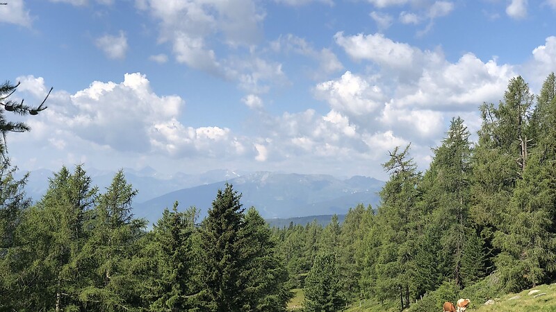 Карта