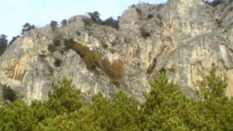 Карта