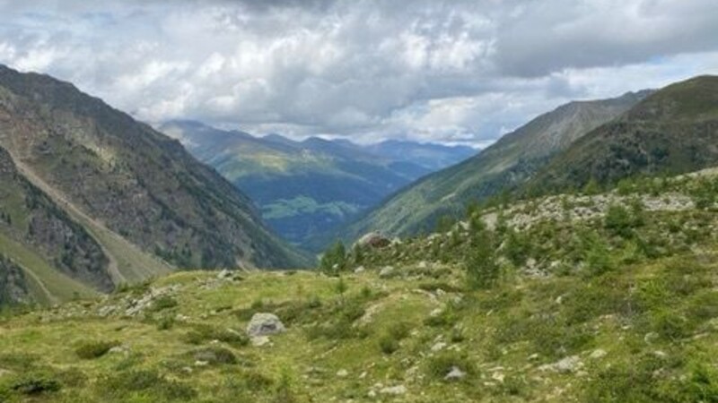 Карта