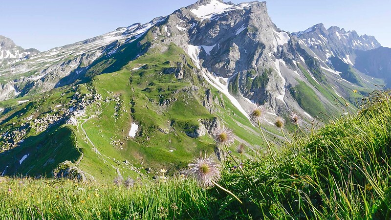 Карта