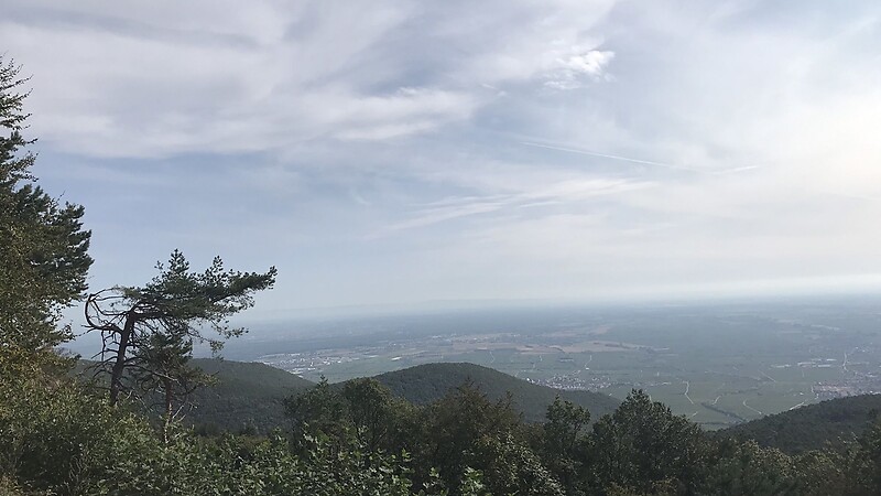 Карта