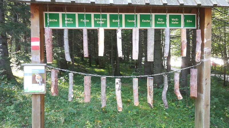 Карта