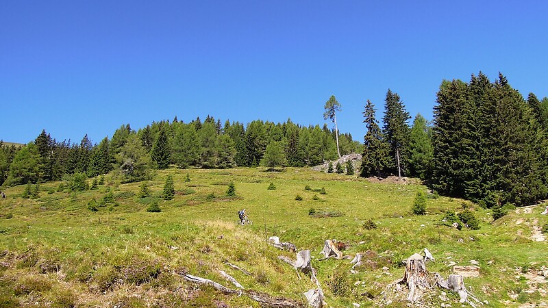 Карта
