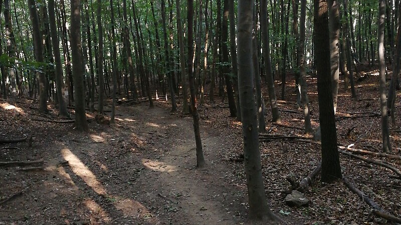 Карта