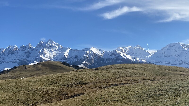 Карта