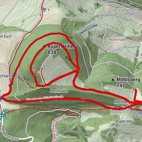 Hüslischnegg am Asperstrihen